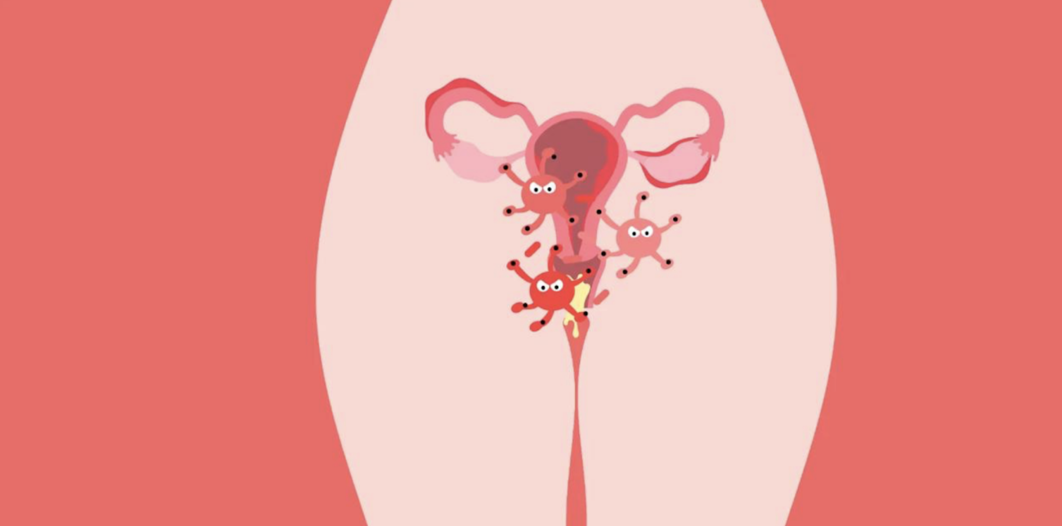 Illustrated diagram of female reproductive system