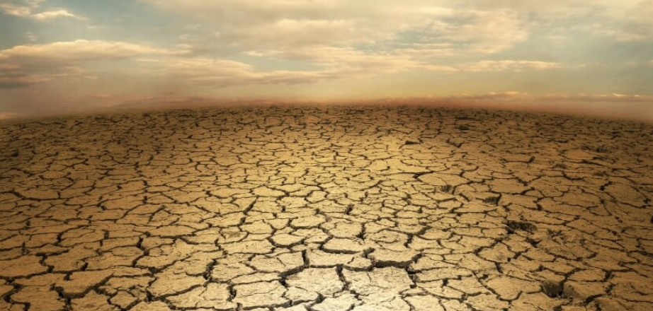 Cracked dry earth representing dryness